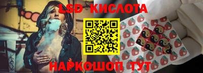 apvp Кингисепп