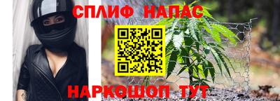 apvp Кингисепп