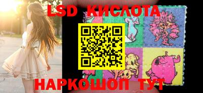 спиды Кимры