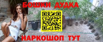 apvp Кингисепп